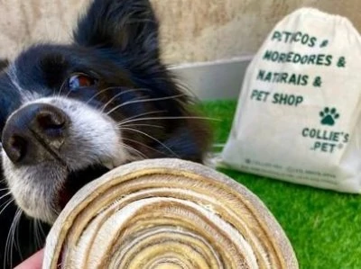 Mordedores: o segredo para um cão calmo e feliz