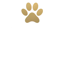 Collie's Pet